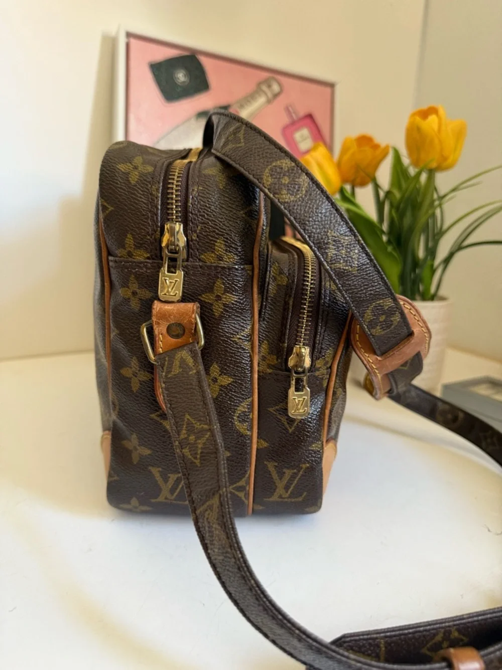 Louis Vuitton Nile Monogram Canvas Messenger Bag - Picture 6 of 14